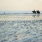 - Les Crapauds Fous - Proximite Centre Et *