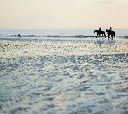 Normande - Les Crapauds Fous - Proximite Centre Et *