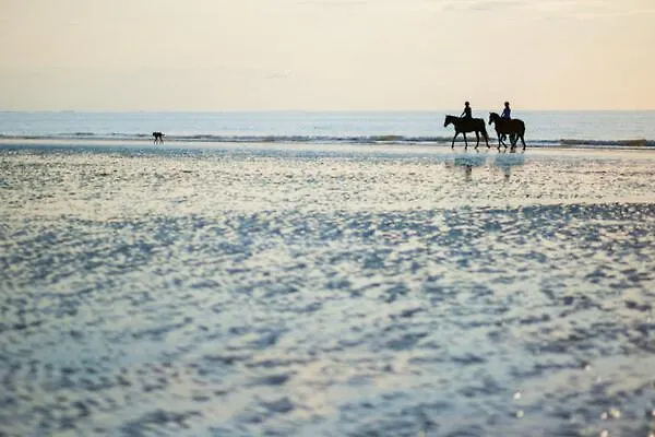 Normande - Les Crapauds Fous - Proximité Centre Et *