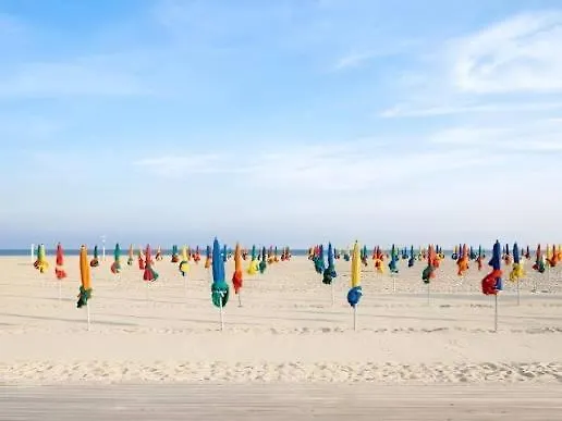 Normande - Les Crapauds Fous - Proximité Centre Et Villa