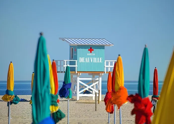 - Les Crapauds Fous - Proximite Centre Et *